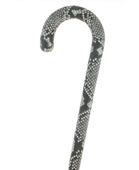 Python covered Cane