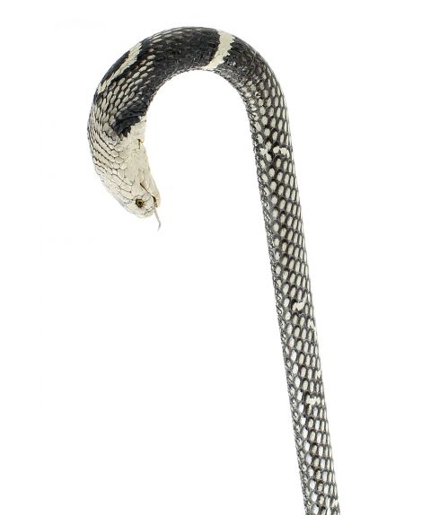 Cobra covered Cane