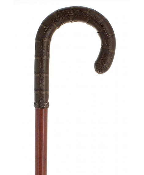 Crocodile covered cane