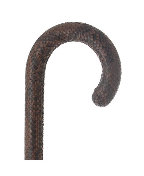 Python covered Cane