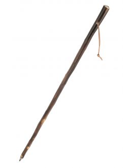 Sword chestnut stick with compass