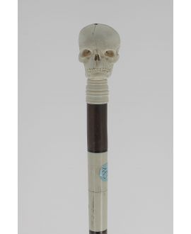 Ivory Skull handle