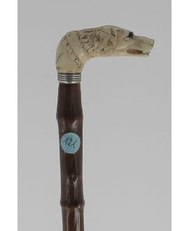 ivory square handle, curl hair dog