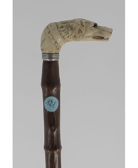 ivory square handle, curl hair dog