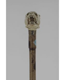 Bulldog ivory handle, rattan shaft