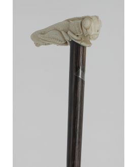 Ivory grasshopper handle