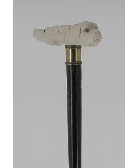 Ivory double dog head handle, macassar shaft
