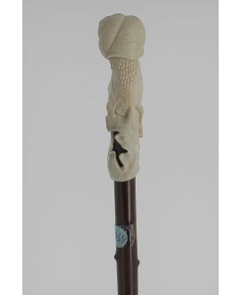 Ivory snail as knob, rosewood shaft