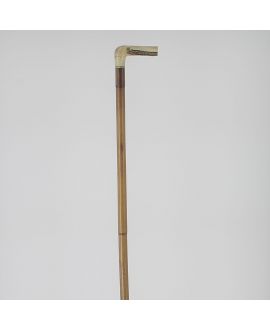 Horse measuring cane