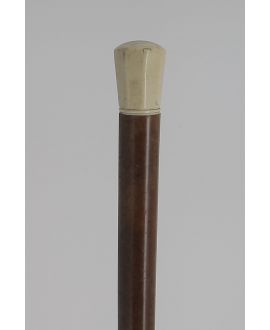 ivory knob with malacca shaft