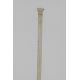 Whale jaw bone cane