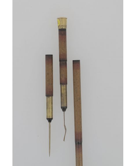 Picnic cane gold knob 1870
