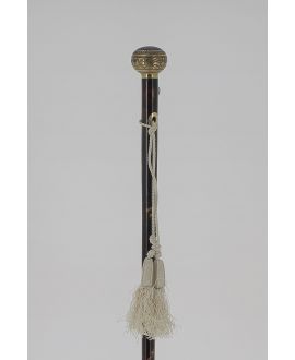 Tortoise shell cane