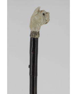 Sword cane with dog ivory knob and bamboo shaft. Beautiful blade.