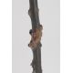 Canne art populaire pommeau ivoire, fût en buis à multiples nœuds sculptés