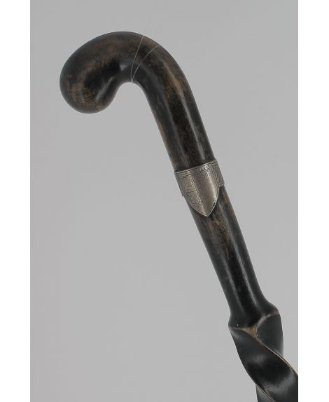 Ethiopian painter cane