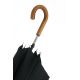 Sword - black umbrella with malacca handle
